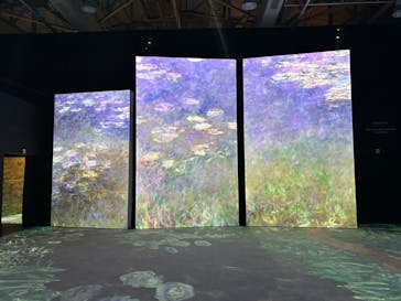 「モネ＆フレンズ・アライブ」神戸展に投稿された画像（2025/1/22）