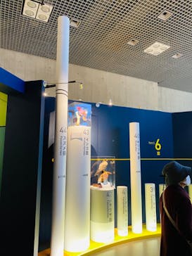 特別展「鳥 ～ゲノム解析が解き明かす新しい鳥類の系統～」国立科学博物館に投稿された画像（2025/1/22）