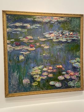 モネ 睡蓮のとき（国立西洋美術館）に投稿された画像（2025/1/22）