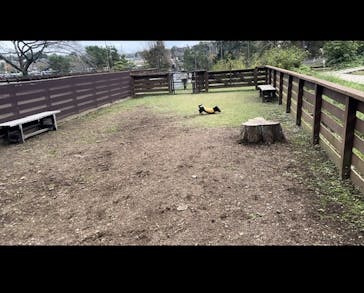 わんダフルネイチャーヴィレッジに投稿された画像（2025/1/22）