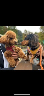 わんダフルネイチャーヴィレッジに投稿された画像（2025/1/22）