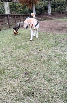 わんダフルネイチャーヴィレッジに投稿された画像（2025/1/22）