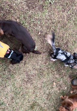 わんダフルネイチャーヴィレッジに投稿された画像（2025/1/22）