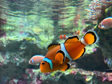 サンシャイン水族館に投稿された画像（2025/1/22）