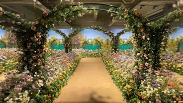 「モネ＆フレンズ・アライブ」神戸展に投稿された画像（2025/1/22）