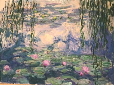 モネ 睡蓮のとき（国立西洋美術館）に投稿された画像（2025/1/22）