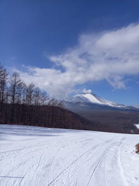 軽井沢スノーパークに投稿された画像（2025/1/22）