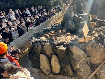 伊豆シャボテン動物公園に投稿された画像（2025/1/22）