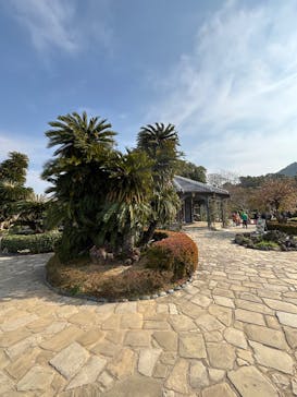 グラバー園に投稿された画像（2025/1/22）