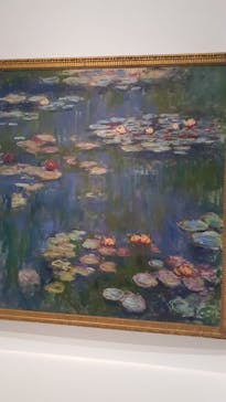 モネ 睡蓮のとき（国立西洋美術館）に投稿された画像（2025/1/22）