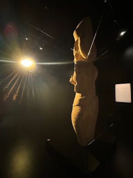 MYSTERY OF TUTANKHAMEN 体感型古代エジプト展に投稿された画像（2025/1/22）