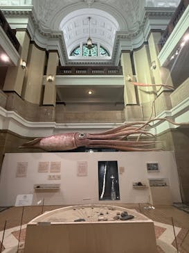 国立科学博物館に投稿された画像（2025/1/22）