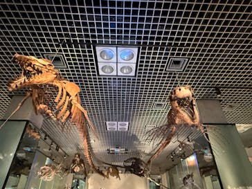 国立科学博物館に投稿された画像（2025/1/22）