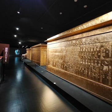 MYSTERY OF TUTANKHAMEN 体感型古代エジプト展に投稿された画像（2025/1/22）