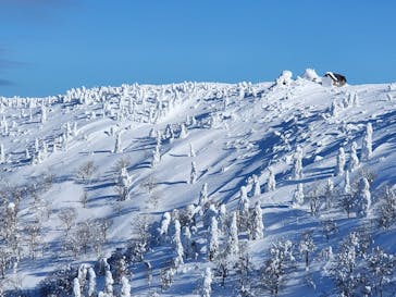 阿仁スキー場に投稿された画像（2025/1/22）