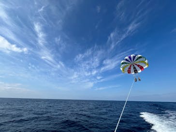 Sea World（シーワールド）に投稿された画像（2025/1/22）