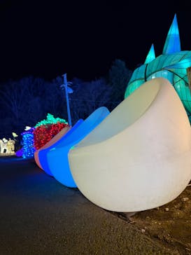 伊豆高原グランイルミに投稿された画像（2025/1/22）