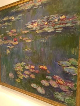モネ 睡蓮のとき（国立西洋美術館）に投稿された画像（2025/1/22）