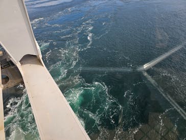 徳島県立 渦の道に投稿された画像（2025/1/22）