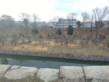 元離宮二条城に投稿された画像（2025/1/22）