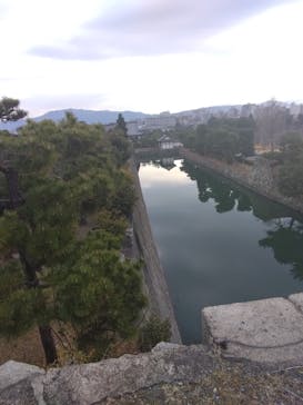 元離宮二条城に投稿された画像（2025/1/22）