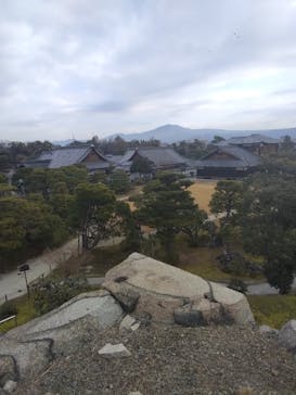 元離宮二条城に投稿された画像（2025/1/22）