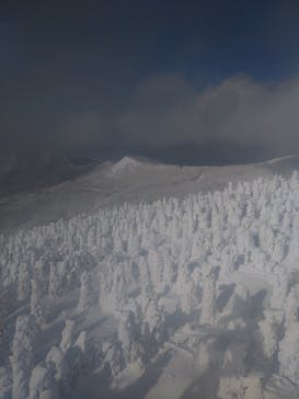 蔵王ロープウェイに投稿された画像（2025/1/22）