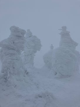 蔵王ロープウェイに投稿された画像（2025/1/22）