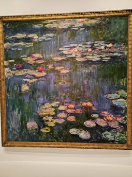 モネ 睡蓮のとき（国立西洋美術館）に投稿された画像（2025/1/23）