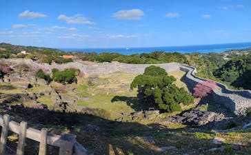 今帰仁城跡に投稿された画像（2025/1/23）