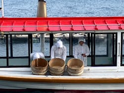 ミキモト真珠島に投稿された画像（2025/1/23）