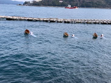 ミキモト真珠島に投稿された画像（2025/1/23）