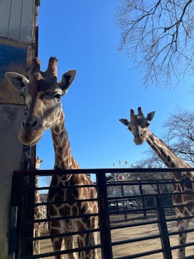 宇都宮動物園に投稿された画像（2025/1/23）
