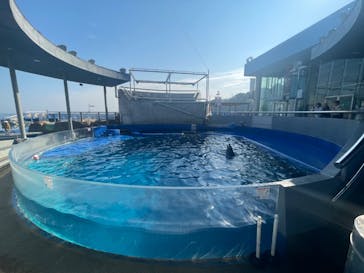 大分マリーンパレス水族館 「うみたまご」に投稿された画像（2025/1/23）