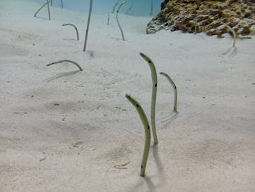アクアワールド茨城県大洗水族館に投稿された画像（2025/1/23）