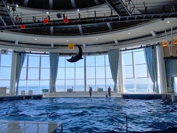 アクアワールド茨城県大洗水族館に投稿された画像（2025/1/23）