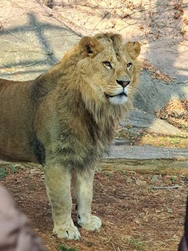 名古屋市東山動植物園に投稿された画像（2025/1/23）