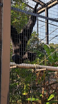 名古屋市東山動植物園に投稿された画像（2025/1/23）