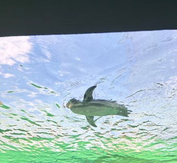 天王寺動物園に投稿された画像（2025/1/23）