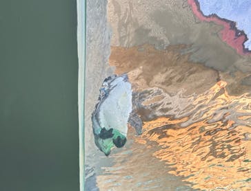 天王寺動物園に投稿された画像（2025/1/23）