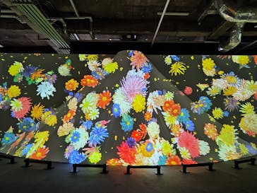 動き出す浮世絵展 TOKYOに投稿された画像（2025/1/23）