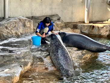 しながわ水族館に投稿された画像（2025/1/23）