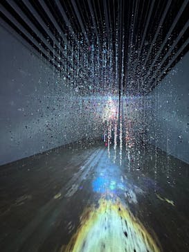 蜷川実花展 with EiM：彼岸の光、此岸の影 NINAGAWA Mika with EiM：Lights of the beyond, Shadows of this worldに投稿された画像（2025/1/23）