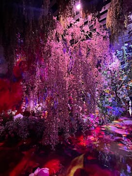 蜷川実花展 with EiM：彼岸の光、此岸の影 NINAGAWA Mika with EiM：Lights of the beyond, Shadows of this worldに投稿された画像（2025/1/23）