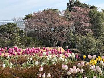 ニューヨークランプミュージアム＆フラワーガーデンに投稿された画像（2025/1/23）