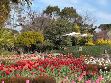 ニューヨークランプミュージアム＆フラワーガーデンに投稿された画像（2025/1/23）