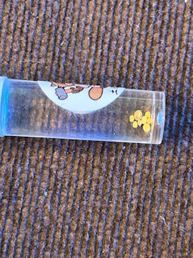 土肥金山に投稿された画像（2025/1/23）