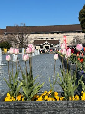 東京国立博物館に投稿された画像（2025/1/23）