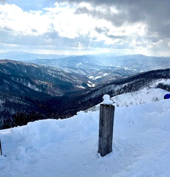 twin tree（ツインツリー）に投稿された画像（2025/1/23）