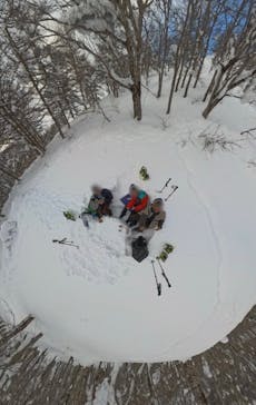 twin tree（ツインツリー）に投稿された画像（2025/1/23）